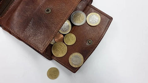 Amazon.com: Leather looking Wallet with Metal Coin Sorter Trusty Coin Pouch  Pocket Purse Or Car For Quick Change (purple) : Clothing, Shoes & Jewelry